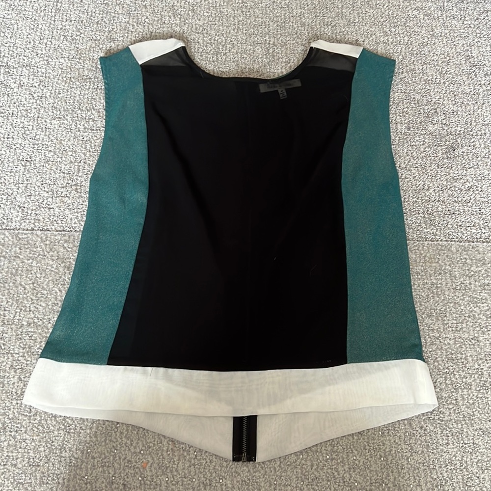 Sheer Blouse